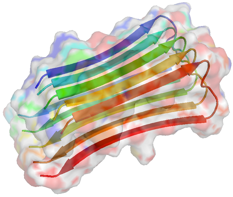 Ribbon diagram of an amyloid-beta fibril, PDB 2BEG