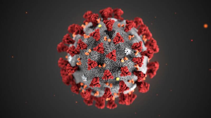 Illustration of the SARS-CoV-2 coronavirus