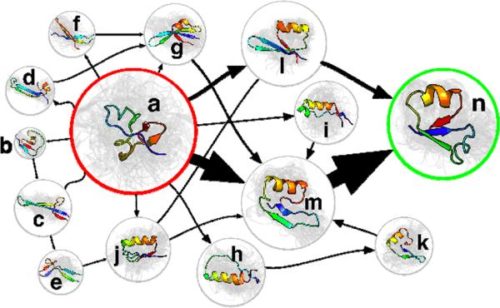 Markov state model of NTL9 folding